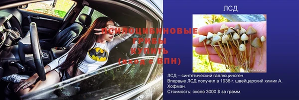 эйфоретик Володарск